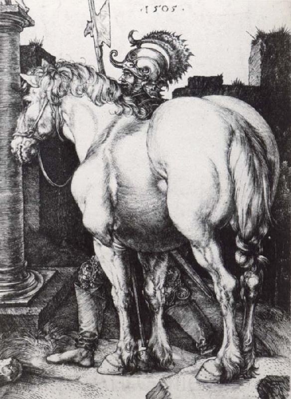 Albrecht Durer The Large Horse Norge oil painting art